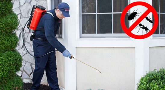 Bünyan Pire İlaçlama böcek ilaçlama ve haşere kontrolü — ilaclama-tr.com